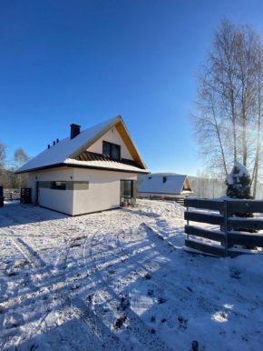 Beskidzki Reset